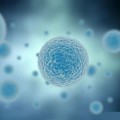Embriyonik Kök Hücre Araştırmalarının Avantajları