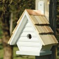 Küçük Kuşlar İçin Kuş Evi Nasıl Yapılır?