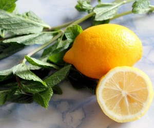 nane limon nasil yapilir faydalari nelerdir onikibilgi com