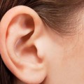 Yetişkinlerde Kulak Hastalıkları