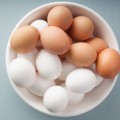 Yumurtanın Protein Değeri
