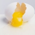 Yüz İçin Yumurta Sarısı Maskesi Nasıl Yapılır?